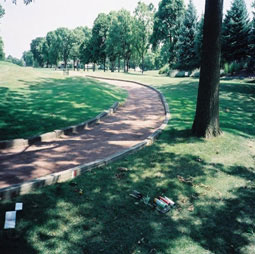 cart_path_before